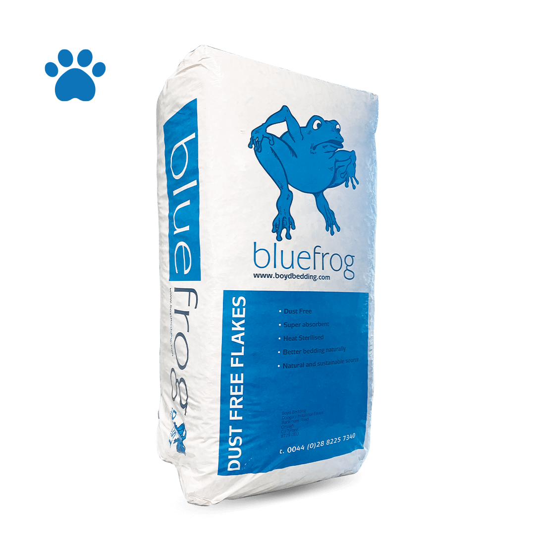 BLUEFROG 大片狀刨花